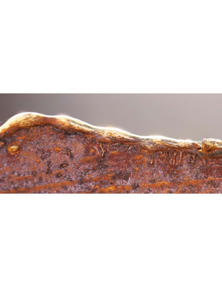 Ripple Schale mit Goldrand aus Messing Durchmesser 27 cm