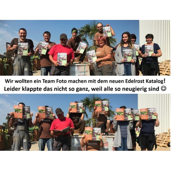 Edelrost Katalog 2019 mit 500 Gartendeko Rost Ideen
