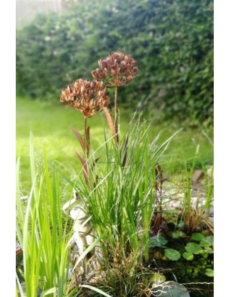 Edelrost Metallblume "DACIA" zum Stecken Höhe 104 cm