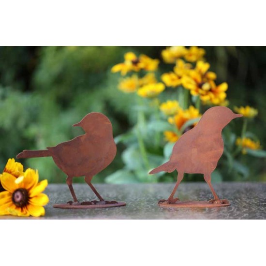 Edelrost Amsel "Blackbird 1" - Stimmungsbild