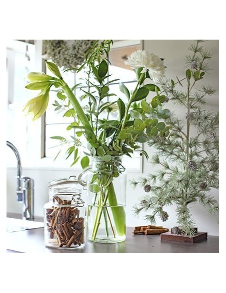 Einmachglas mit Bügelverschluss 