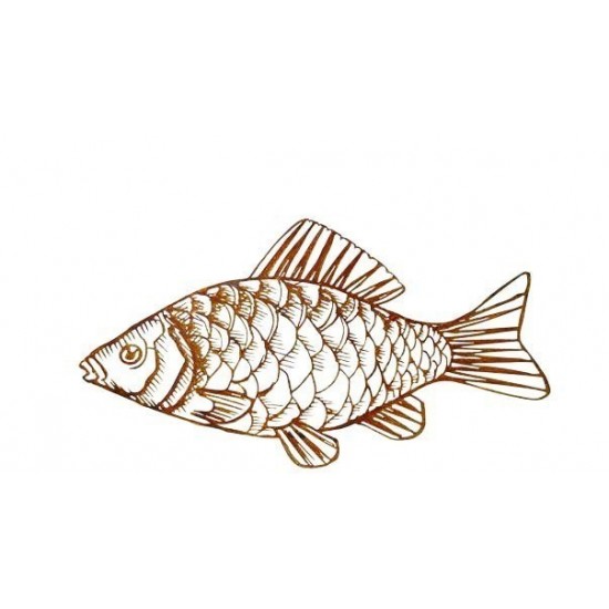 Fischerei,Gravur,Schild,19 x 5 cm,Kunststoff,2 Sauger,Fisch,Angeln,Wetterfest 