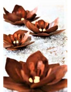 sonstige Blumen Blume - Fleur - aus Rost-Metall - klein Durchmesser 23 cm Blume "Fleur" aus Rost-Metall - klein
Durchmesser 2 2