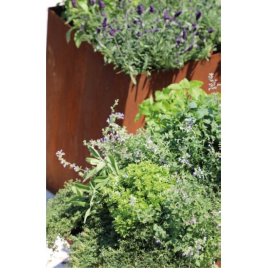 Topf "Windschief" unten geschlossen Höhe vorne 33 cm 