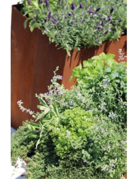 Topf "Windschief" unten geschlossen Höhe vorne 33 cm 