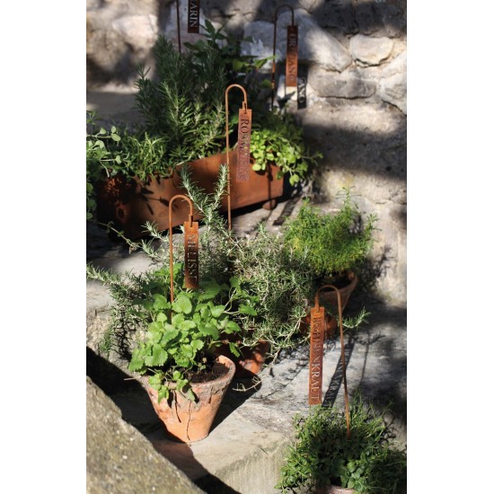 Kräuterschild Oregano Kräuterschilder aus Metall für Kräutergarten kaufen