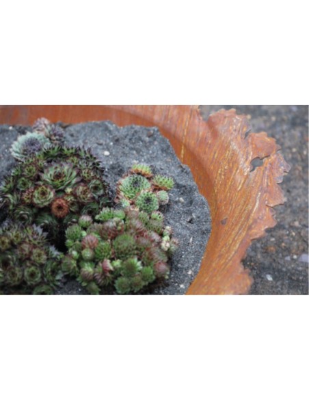 gedrückte Pflanzschale mit gerissenem Rand Ø 50 cm Schalen in besonderen Formen für den Garten und für Wohnungen