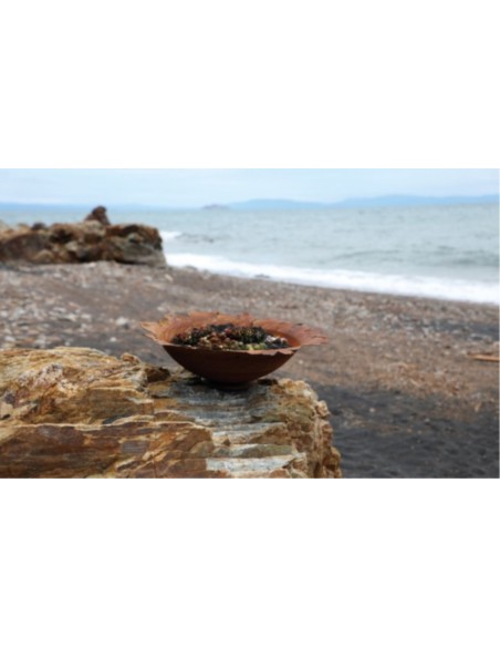 gedrückte Pflanzschale mit gerissenem Rand Ø 50 cm Schalen in besonderen Formen für den Garten und für Wohnungen