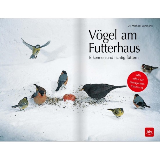 Vögel am Futterhaus - Erkennen und richtig füttern Mit Infos zur Ganzjahresfütterung Gartendeko Vogelfutter 