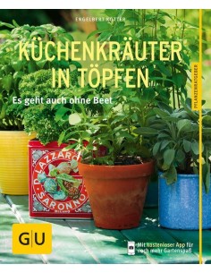 Küchengräuter in Töpfen