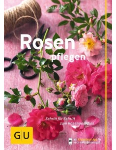 Rosen pflegen