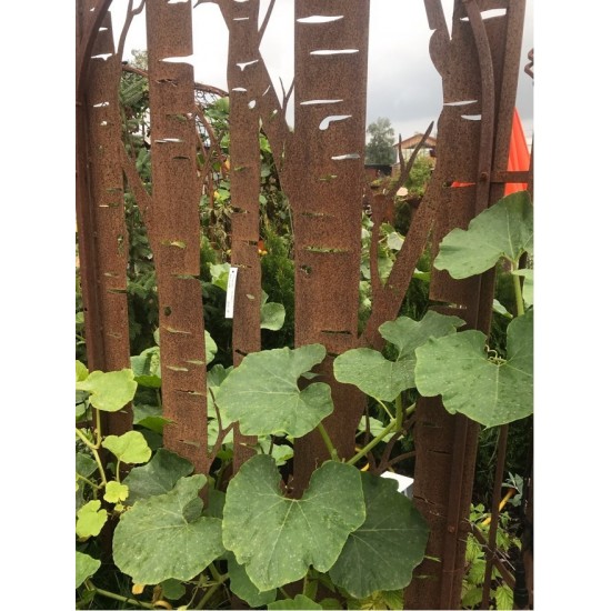 Metall Sichtschutzwand mit Birkenmotiv, Paravent aus Edelrost, Trennwand mit Pflanzenmotiv, Pflanzen und Bäume