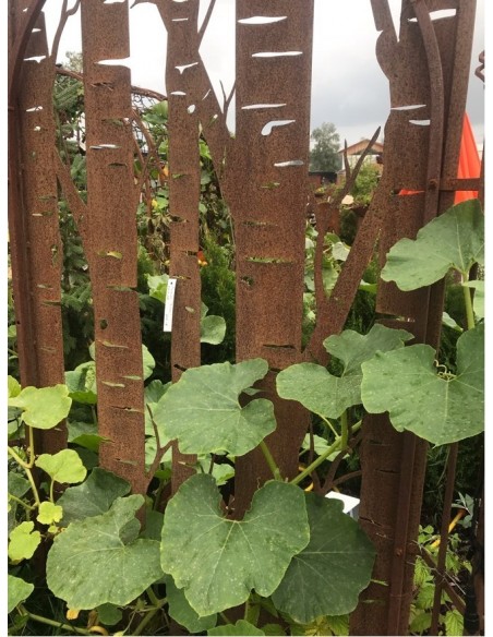 Metall Sichtschutzwand mit Birkenmotiv, Paravent aus Edelrost, Trennwand mit Pflanzenmotiv, Pflanzen und Bäume