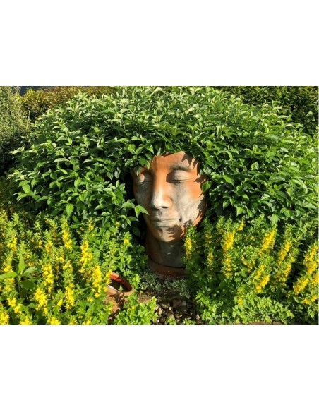 Steinguss Kunstobjekt Gesicht Mann Rosteffekt Steingesicht Deko aus Stein Gartendeko XXL