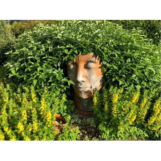 Steinguss Kunstobjekt Gesicht MANN mit Rosteffekt Steingesichter Deko Gartenfiguren 