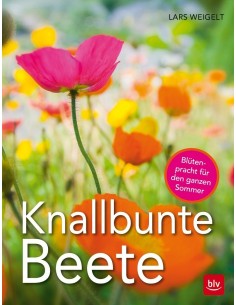Knallbunte Beete Gartendeko Dekor Blumen farbenfroh 