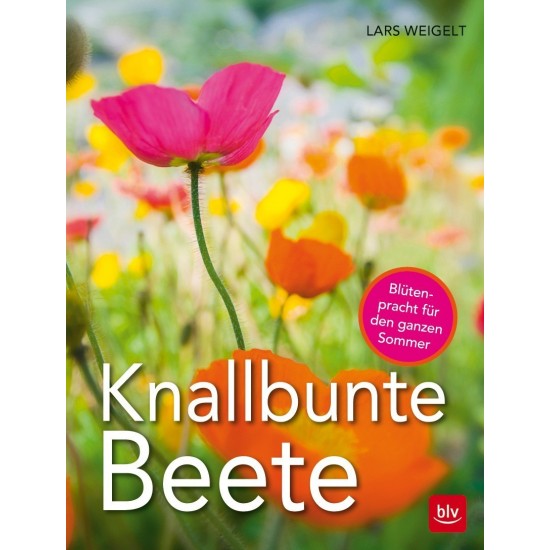 Knallbunte Beete Gartendeko Dekor Blumen farbenfroh 