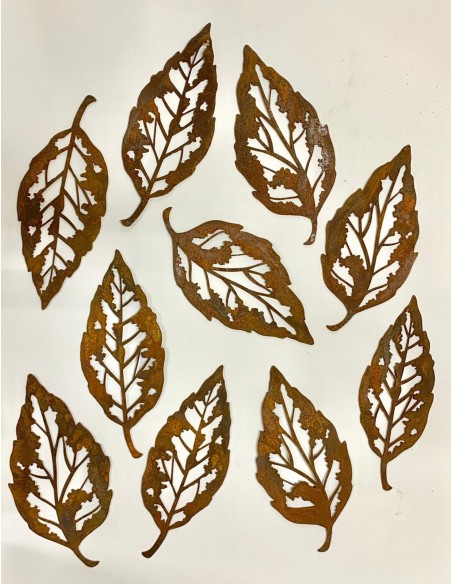 Blattskelett Set klein 10 Stück ca. 13cm