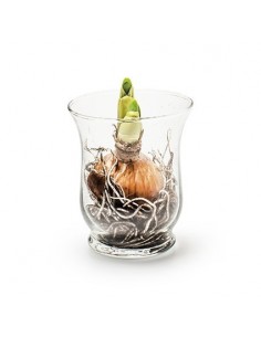 Deko Vase "Hurricane" Glas
