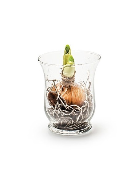 Deko Vase "Hurricane" Glas 