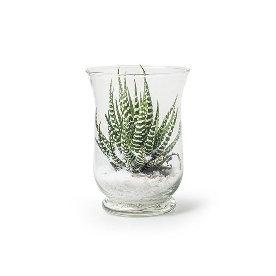 Deko Glas Vase "Hurricane" Blumenvase und Windlicht
