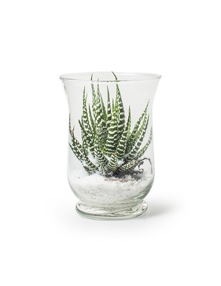 Deko Glas Vase "Hurricane" Blumenvase und Windlicht