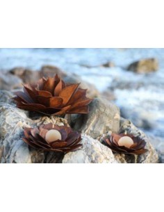 liegende Sukkulente für Teelicht Gr. 1 2