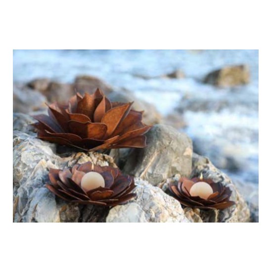 liegende Sukkulente für Teelicht Gr. 1