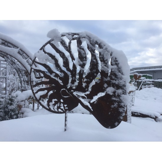 Deko Muschel Nautilus im Schnee als Gartendeko