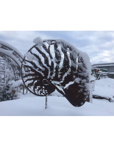Deko Muschel Nautilus im Schnee als Gartendeko