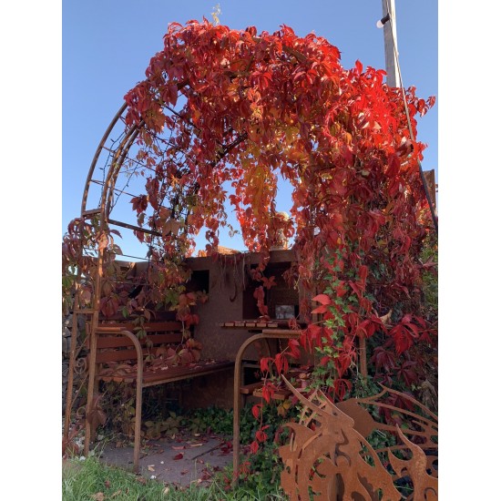 Gartenlaube - Carisma - mit Massivholzbank Eiche kleienr Gartenpavillon mit Sitzbank und Tisch 4 Sitzer