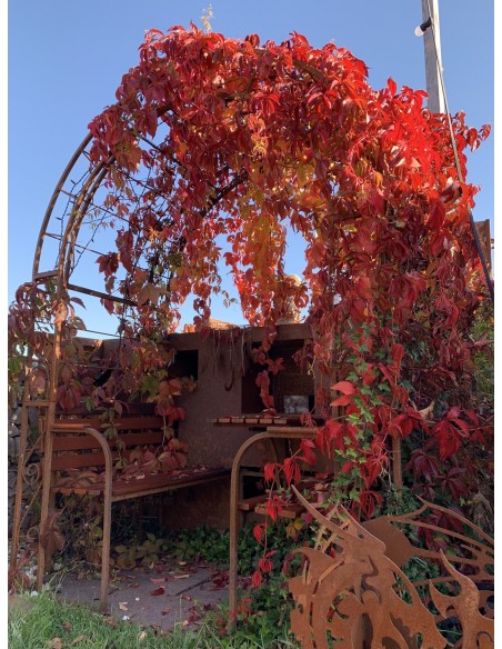 Gartenlaube - Carisma - mit Massivholzbank Eiche kleienr Gartenpavillon mit Sitzbank und Tisch 4 Sitzer