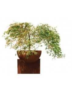 Edelrost Halbkugel Schale 50 cm Ø 2