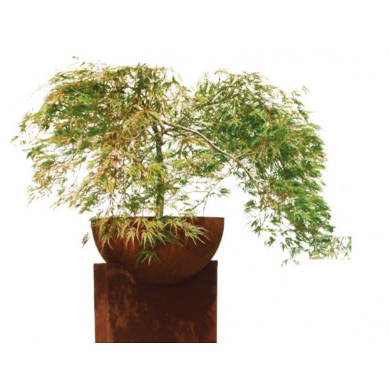 Halbkugelschale 50 cm Ø