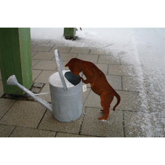 Deko Katze rostig für Gießkanne