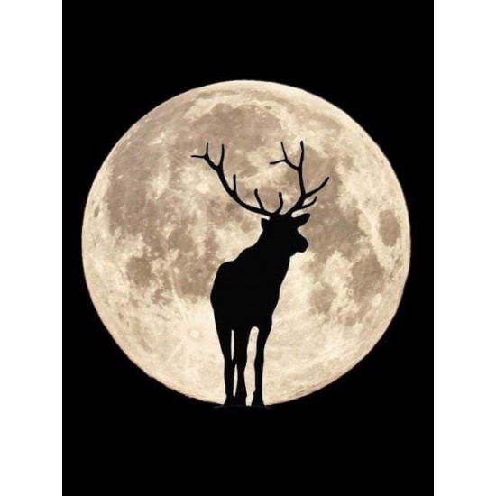 Silhouette Hirsch vor Mond - Hirsch in der Nacht