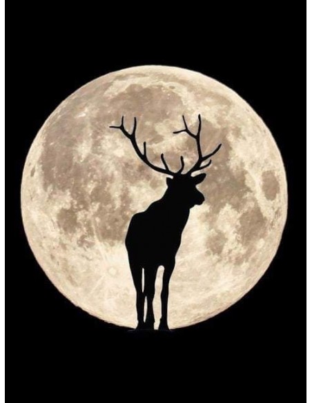 Silhouette Hirsch vor Mond - Hirsch in der Nacht