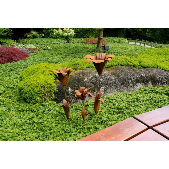 Edelrost Lilie in 3 verschiedenen Größen.