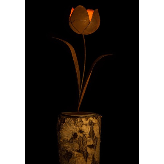 Edelrost Tulpe, zum Beleuchten geeignet.