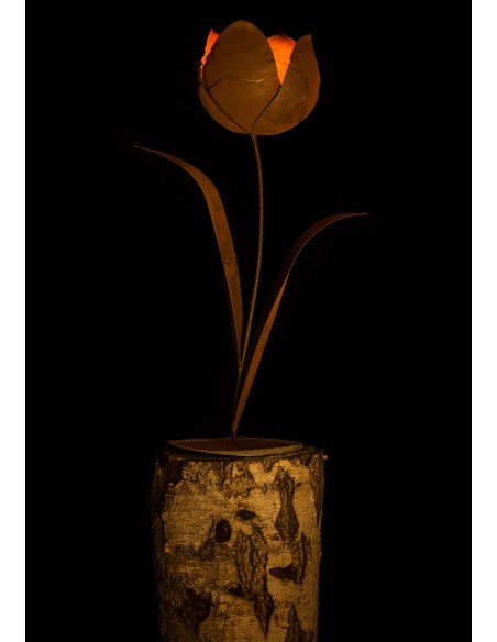 Edelrost Tulpe, zum Beleuchten geeignet.