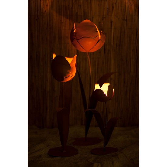 Edelrost Tulpe, zum Beleuchten geeignet.