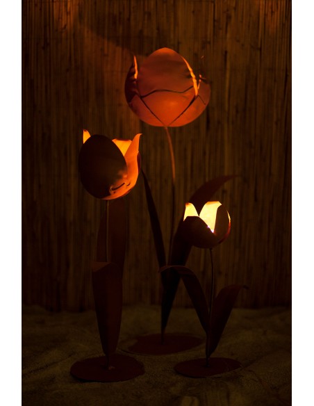 Edelrost Tulpe, zum Beleuchten geeignet.