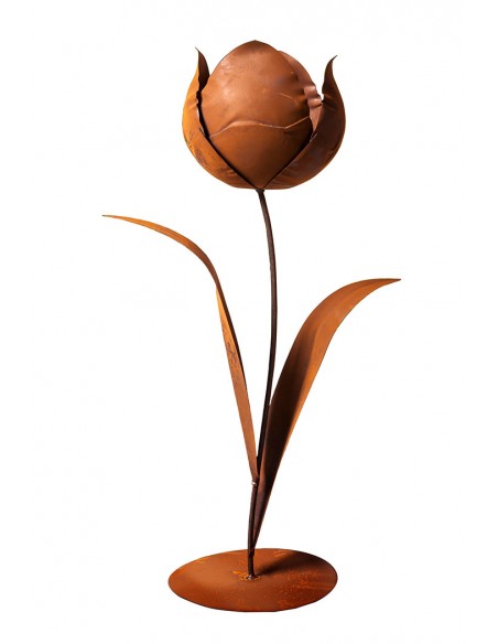 Edelrost Tulpe
