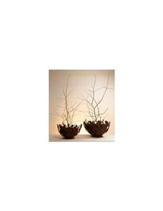 Magnolien Pflanzschale Ø 40 cm, mit dichter Innenschale Ø 30 cm 2
