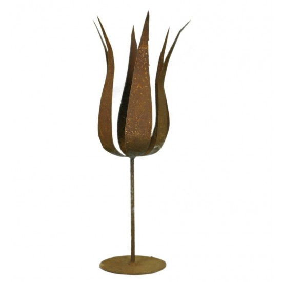französische Tulpe auf Platte, Tulpenhöhe 35cm