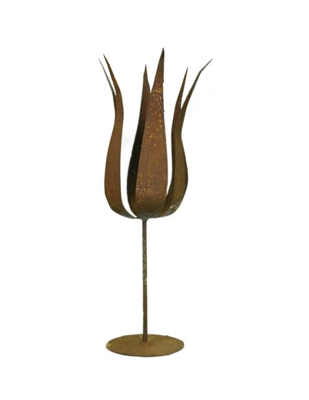 französische Tulpe auf Platte, Tulpenhöhe 35cm