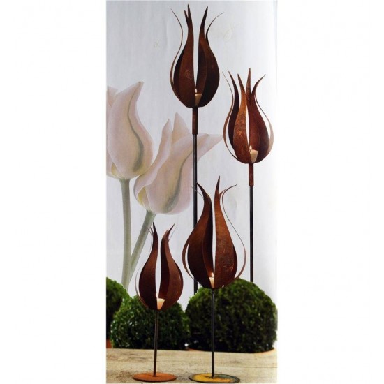 französische Tulpe auf Platte, Tulpenhöhe 35cm