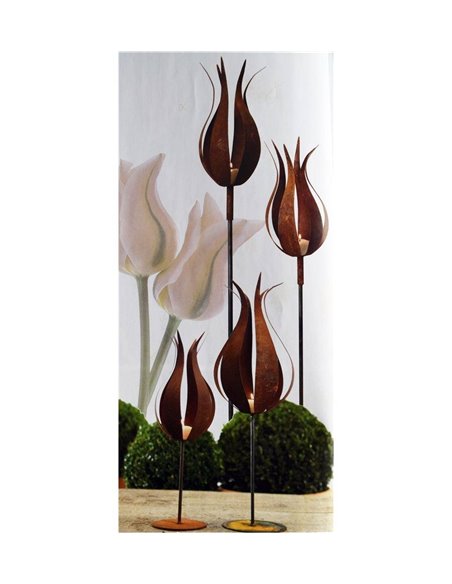 französische Tulpe auf Platte, Tulpenhöhe 35cm