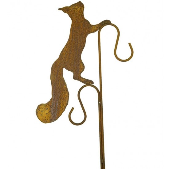 streckendes Eichhörnchen mit 2 Haken
