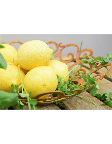 Schale "Nobile" 40 cm Duchmesser